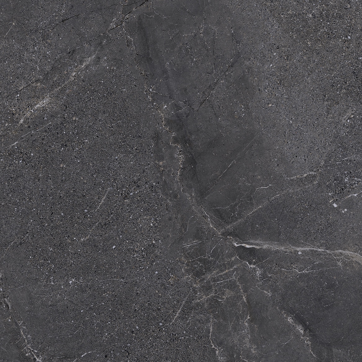 Non-Slip Black Veined Stone Effect Porcelain Stone Tiles 60X120 - EWBE1324